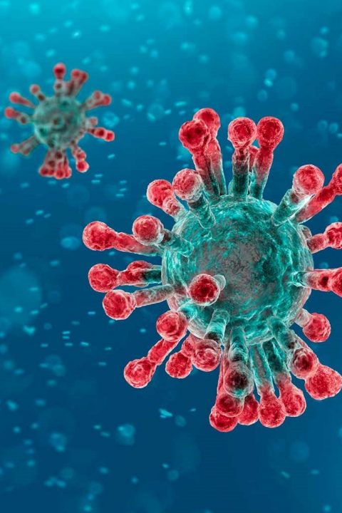 ¿Qué pasa con el Coronavirus?